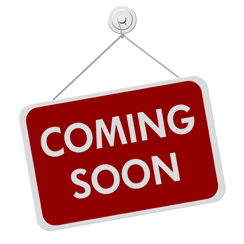 2024+ YAMAHA MT-09 TUCKED LICENSE PLATE MOUNT